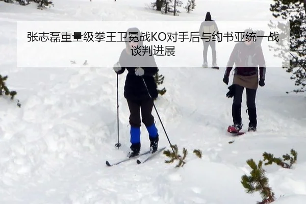 张志磊重量级拳王卫冕战KO对手后与约书亚统一战谈判进展